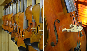 Violins, violas and cellos